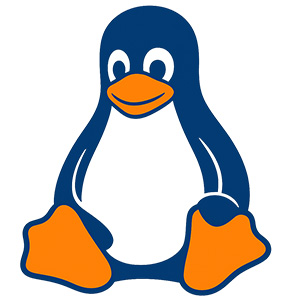 Firmware Development icon